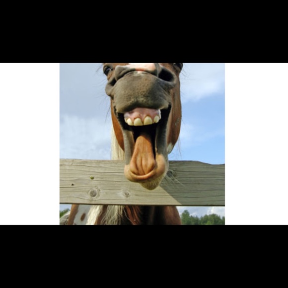 Meet your Posher, Vance - Picture 1 of 1